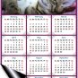 2020 Magnetic Calendar - Calendar Magnets - Today is My Lucky Day - Cat Themed 8