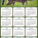 2020 Magnetic Calendar - Calendar Magnets - Today is My Lucky Day - Cat Themed 9