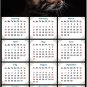 2020 Magnetic Calendar - Calendar Magnets - Today is My Lucky Day - Cat Themed 10
