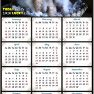 2020 Magnetic Calendar - Calendar Magnets - Today is My Lucky Day - Cat Themed 11