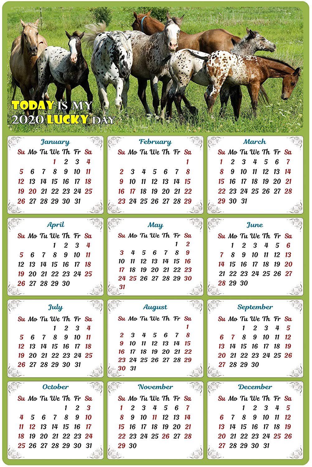 2020 Magnetic Calendar - Calendar Magnets - Today is My Lucky Day - Horses Edition #002