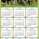 2020 Magnetic Calendar - Calendar Magnets - Today is My Lucky Day - Horses Edition #002