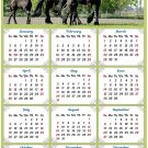 2020 Magnetic Calendar - Calendar Magnets - Today is My Lucky Day - Horses Edition #005