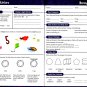 Second Grade - Morning Starters Educational Workbooks - v4
