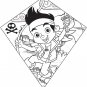 Color-Me-Kite Tyvek Diamond Kite: Jake