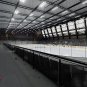 NHL 17 - Xbox One DVD