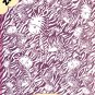 My Favorite Animals - Search and Find Book - Over 500 things to Find