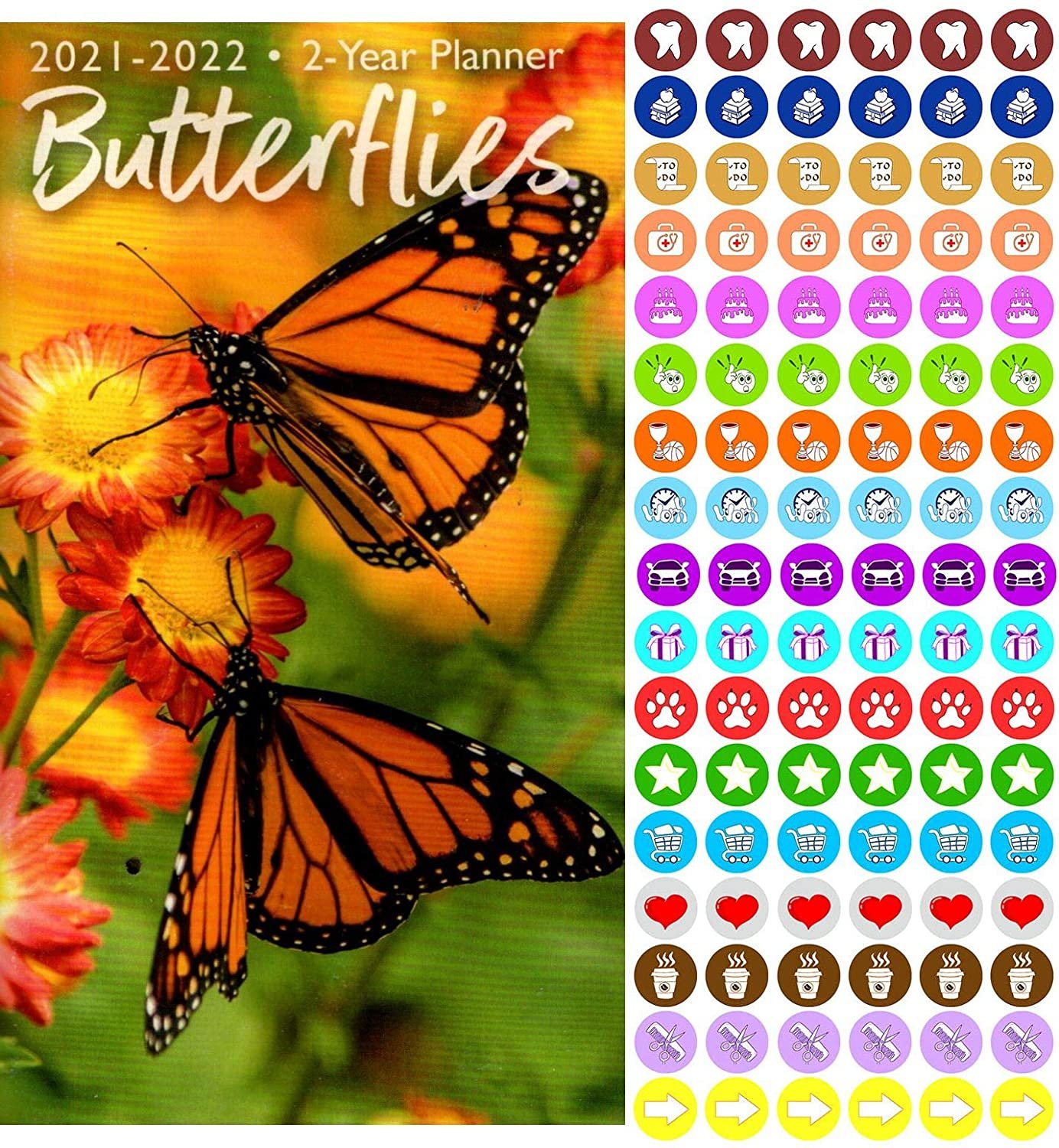 Butterflies 2021-2022 2 Year Pocket Planner/Calendar/Organizer - with 100 Reminder Stickers