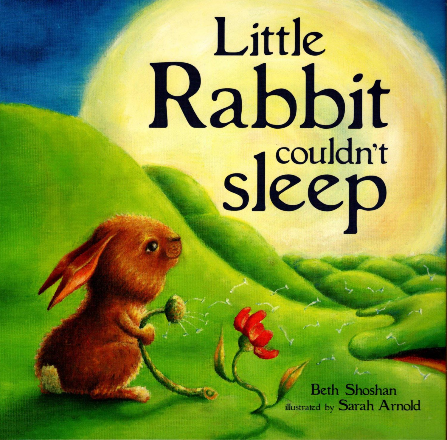 Little Rabbit Couldn't Sleep - Children's Book