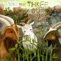 The Three Billy Goats Gruff - 5 Minute Story time - Classic Fairy Tales