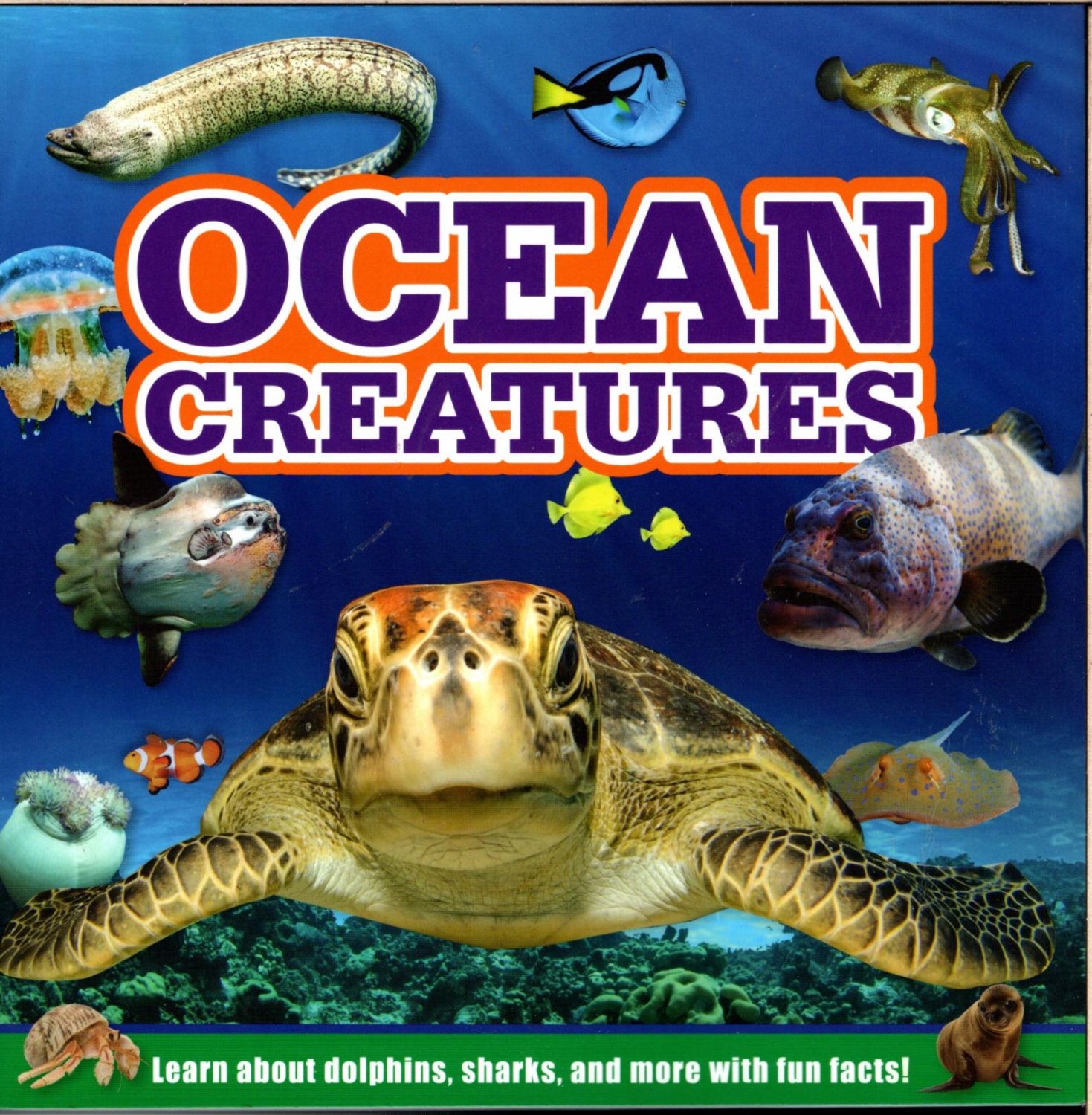 Ocean Creatures - Learn about all Dolphins, Sharks, and more with Fun Facts! - Children Book