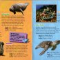 Ocean Creatures - Learn about all Dolphins, Sharks, and more with Fun Facts! - Children Book