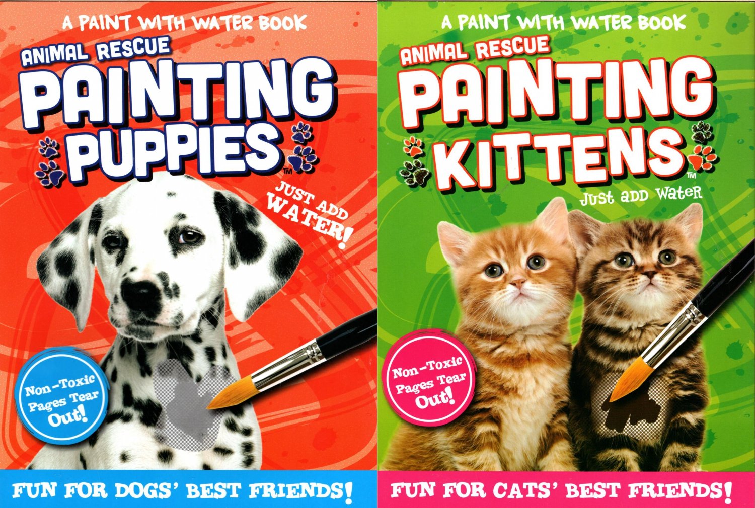 A Paint with Water - Animal Rescue Painting Kittens and Painting