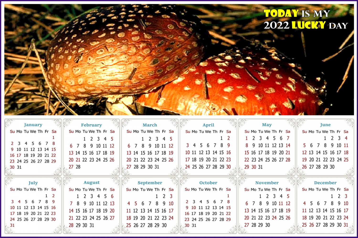 2022 Magnetic Calendar - Calendar Magnets - Today is my Lucky Day - Edition #38