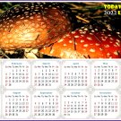 2022 Magnetic Calendar - Calendar Magnets - Today is my Lucky Day - Edition #38