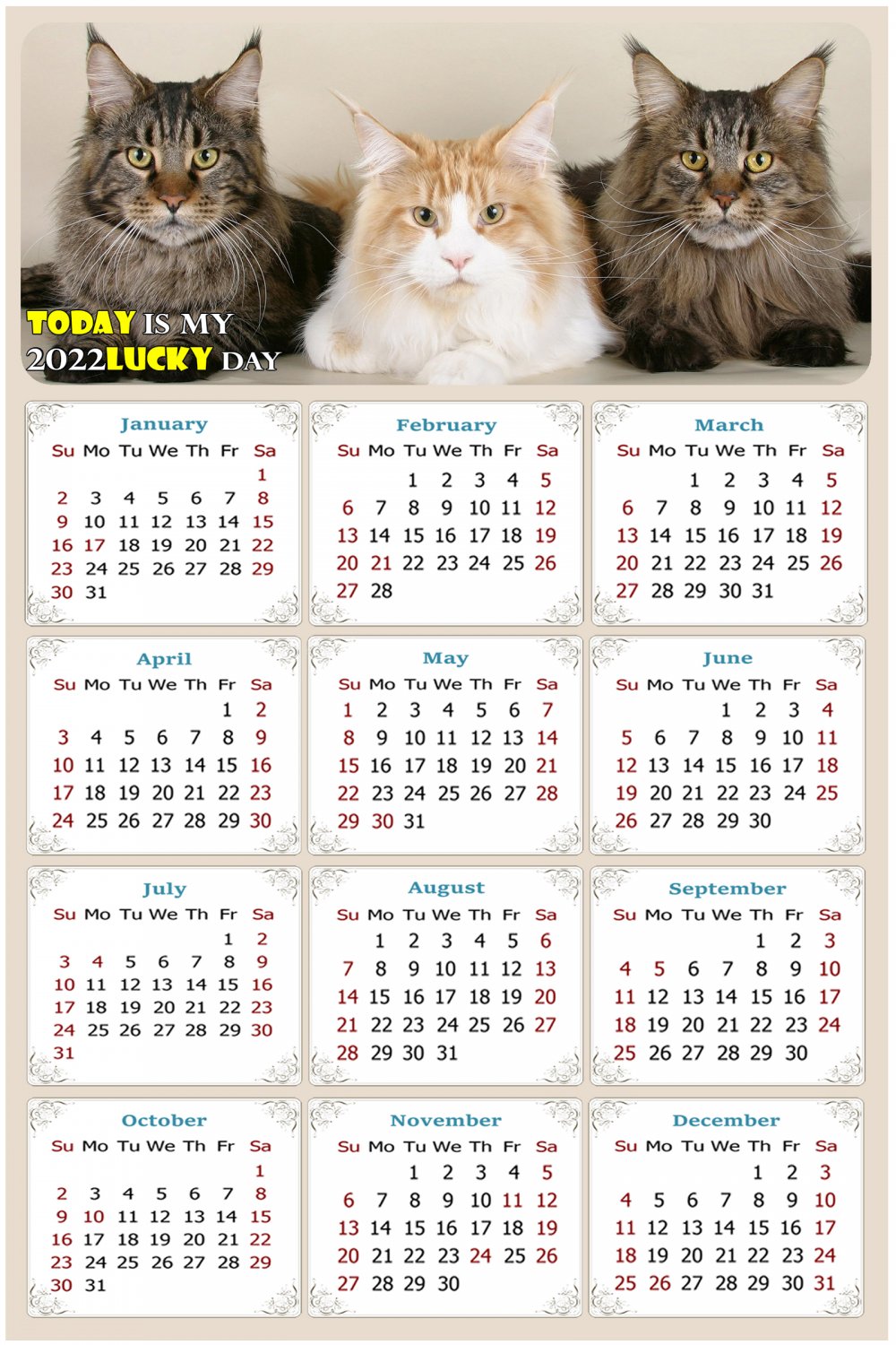 2022 Magnetic Calendar - Calendar Magnets - Today is My Lucky Day - Cat Themed 015 (5.25 x 8)