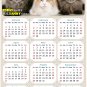 2022 Magnetic Calendar - Calendar Magnets - Today is My Lucky Day - Cat Themed 015 (5.25 x 8)