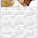 2022 Magnetic Calendar - Calendar Magnets - Today is My Lucky Day - Cat Themed 04 (5.25 x 8)