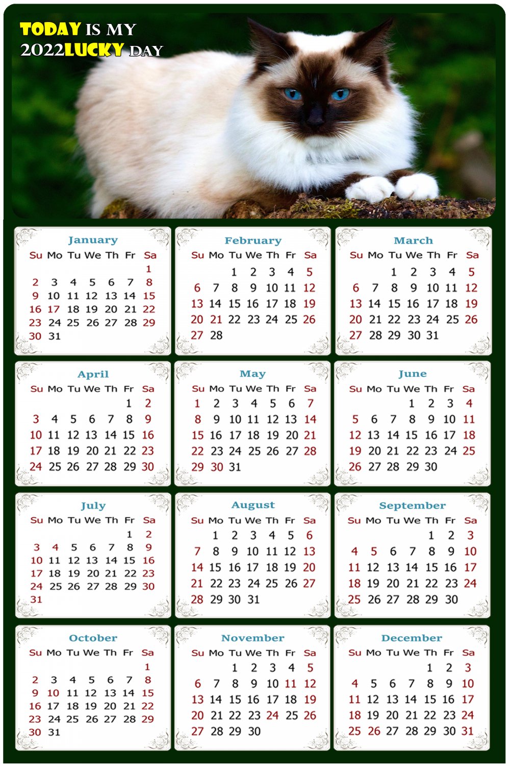 2022 Magnetic Calendar - Calendar Magnets - Today is My Lucky Day - Cat Themed 02 (8 x10)