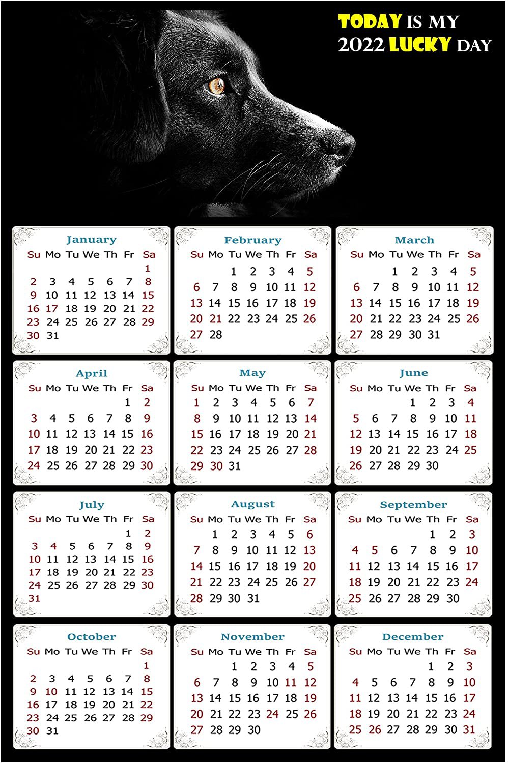 2022 Magnetic Calendar - Calendar Magnets - Today is My Lucky Day - Dogs Themed 05 (7 x 10.5)