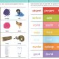 Lots of Sorting, Lots of Different, Lots of Opposites, Big or Little - Sticker & Activity Book
