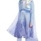 Party City Elsa Act 2 Halloween Costume for Girls, Frozen 2, Includes Dress