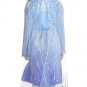 Party City Elsa Act 2 Halloween Costume for Girls, Frozen 2, Includes Dress
