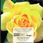 Small Things Become Great When Done with Love 2022 - 2023 Inspirations Calendar