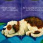 Good Night & Five Wishing Stars - A Bedtime Books (Set of 2 Books)