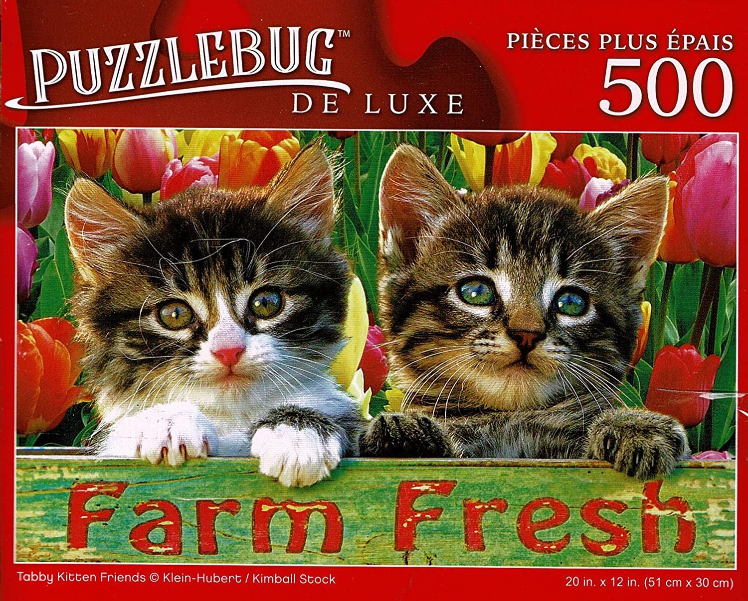 Tabby Kitten Friends - 500 Pieces Deluxe Jigsaw Puzzle
