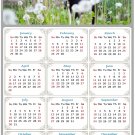 2023 Magnetic Calendar - Calendar Magnets - Today is My Lucky Day - Cat Themed 05 (7 x 10.5)