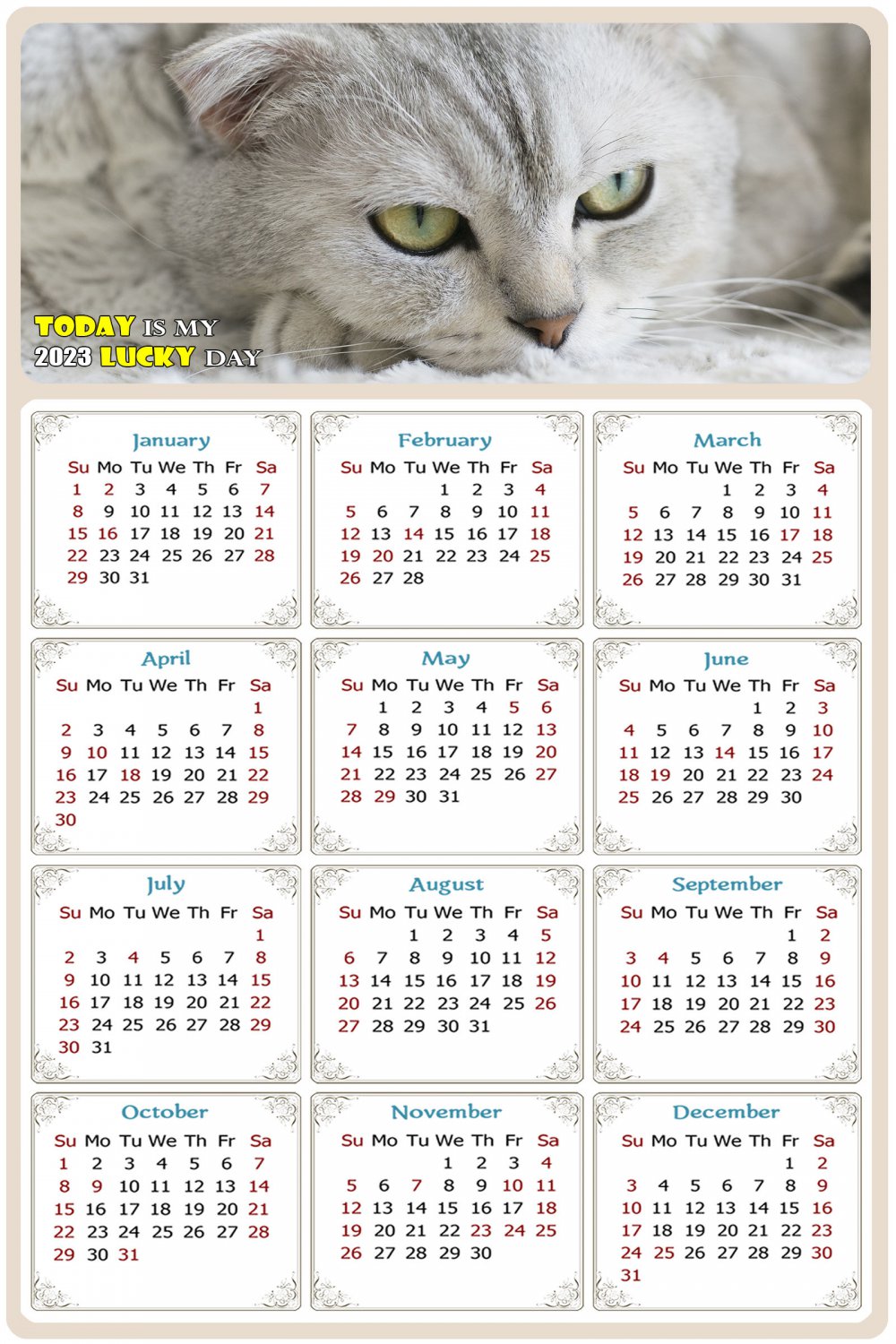2022 Magnetic Calendar - Calendar Magnets - Today is My Lucky Day - Cat Themed 1 (5.25 x 8)