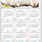 2023 Magnetic Calendar - Calendar Magnets - Today is My Lucky Day - Cat Themed 020 (5.25 x 8)
