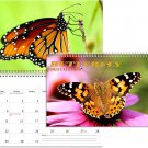 2023 Spiral-bound Wall Calendar (Butterfly) - 12 Months Desktop / Wall Calendar/ Planner