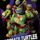 Ultimate Turtles Fan Book (Teenage Mutant Ninja Turtles)