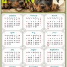 2024 Magnetic Calendar - Calendar Magnets - Today is My Lucky Day - Dogs Themed 04 (7 x 10.5)
