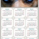 2024 Magnetic Calendar - Calendar Magnets - Today is My Lucky Day - Dogs Themed 03 (7 x 10.5)