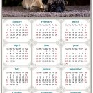 2024 Magnetic Calendar - Calendar Magnets - Today is My Lucky Day - Dogs Themed 02 (5.25 x 8)