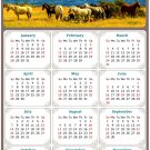 2024 Magnetic Calendar - Calendar Magnets - Today is My Lucky Day - Horses Themed 012 (7 x 10.5)