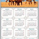 2024 Magnetic Calendar - Calendar Magnets - Today is My Lucky Day - Horses Themed 017 (7 x 10.5)