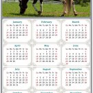 2024 Magnetic Calendar - Calendar Magnets - Today is My Lucky Day - Horses Themed 020 (5.25 x 8)