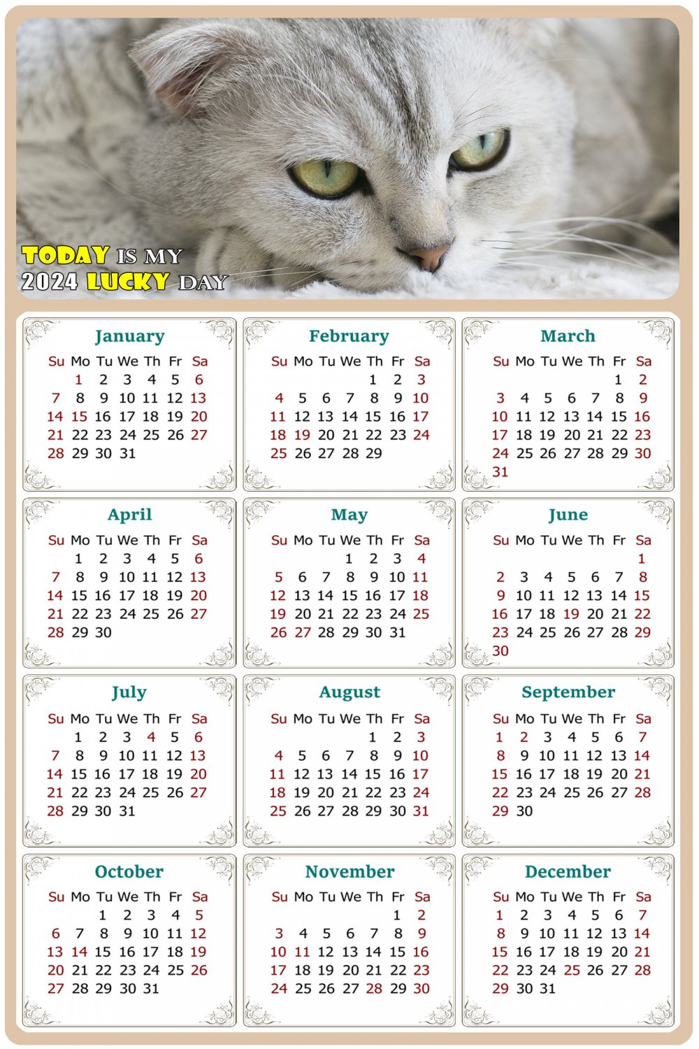 2024 Magnetic Calendar - Calendar Magnets - Today is My Lucky Day - Cat Themed 1 (7 x 10.5)