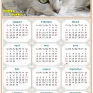 2024 Magnetic Calendar - Calendar Magnets - Today is My Lucky Day - Cat Themed 1 (7 x 10.5)
