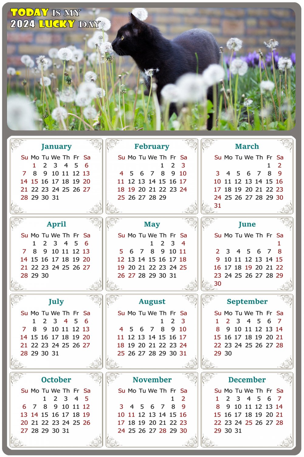 2024 Magnetic Calendar - Calendar Magnets - Today is My Lucky Day - Cat Themed 05 (7 x 10.5)