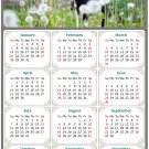 2024 Magnetic Calendar - Calendar Magnets - Today is My Lucky Day - Cat Themed 05 (5.25 x 8)