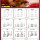 2024 Magnetic Calendar - Calendar Magnets - Today is My Lucky Day - Cat Themed 07 (7 x 10.5)