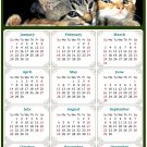 2024 Magnetic Calendar - Calendar Magnets - Today is My Lucky Day - Cat Themed 010 (7 x 10.5)
