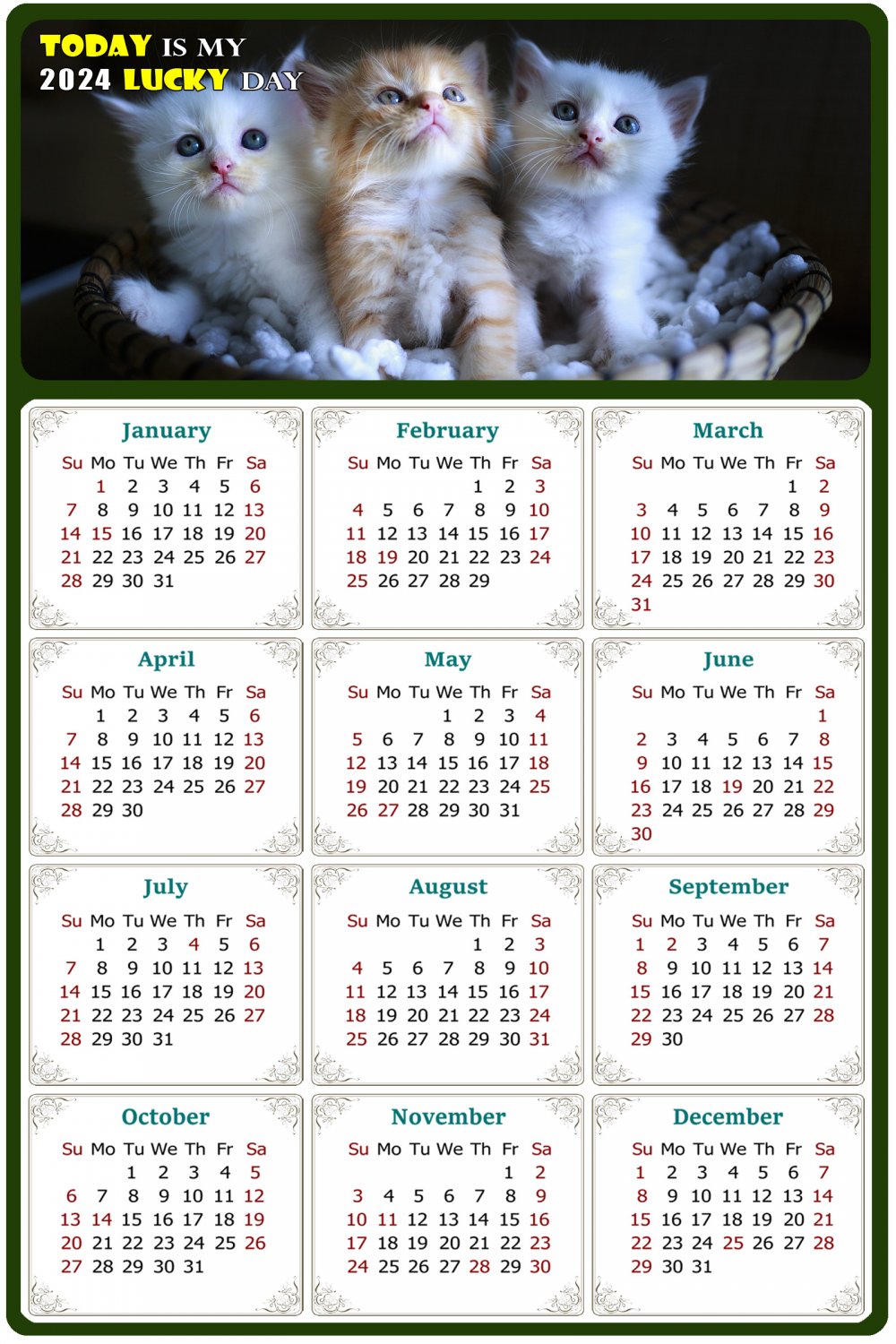 2024 Calendar Calendar Today is My Lucky Day Cat