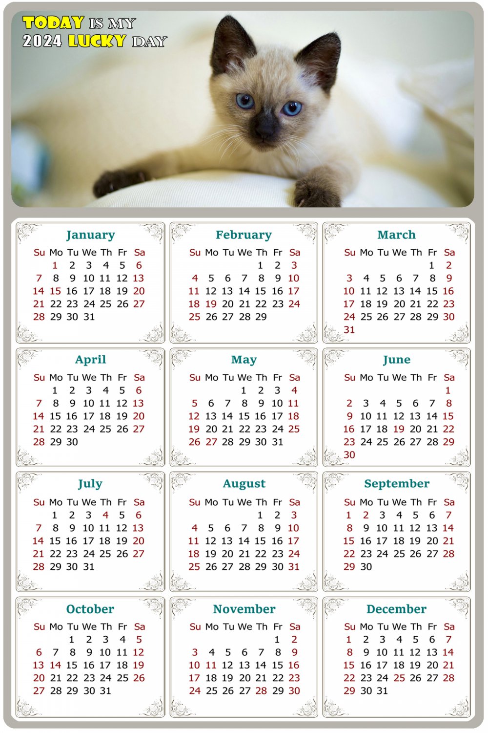 2024 Magnetic Calendar - Calendar Magnets - Today is My Lucky Day - Cat Themed 013 (5.25 x 8)