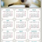 2024 Magnetic Calendar - Calendar Magnets - Today is My Lucky Day - Cat Themed 013 (5.25 x 8)